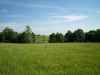 Map or photo for Livingston County, Missouri hunting lease property.