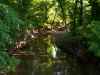 Map or photo for Livingston County, Missouri hunting lease property.