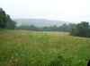 Deer hunting lease in Ohio