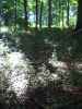 big buck country