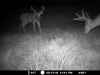 Map or photo for Licking County, Ohio hunting lease property.