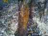 Map or photo for Todd County, Kentucky hunting lease property.