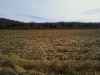 Map or photo for Todd County, Kentucky hunting lease property.