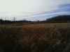 Map or photo for Todd County, Kentucky hunting lease property.