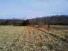 Map or photo for Todd County, Kentucky hunting lease property.