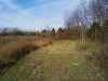 Map or photo for Todd County, Kentucky hunting lease property.