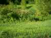Map or photo for Perry County, Missouri hunting lease property.
