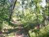 Map or photo for Perry County, Missouri hunting lease property.
