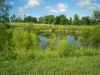 Map or photo for Perry County, Missouri hunting lease property.
