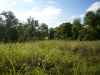 Map or photo for Perry County, Missouri hunting lease property.