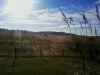View looking South from house on 500ac tract.