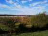 View looking South from house on 500ac tract.