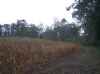 Map or photo for Jefferson County, Indiana hunting lease property.