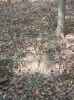 Map or photo for Jefferson County, Indiana hunting lease property.