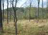 Map or photo for Jefferson County, Indiana hunting lease property.