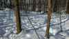 Map or photo for Decatur County, Indiana hunting lease property.