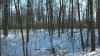 Map or photo for Decatur County, Indiana hunting lease property.