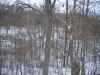 Map or photo for Fountain County, Indiana hunting lease property.