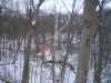 Map or photo for Fountain County, Indiana hunting lease property.