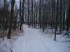 Map or photo for Wabash County, Indiana hunting lease property.