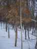 Map or photo for Wabash County, Indiana hunting lease property.