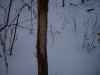 Map or photo for Wabash County, Indiana hunting lease property.