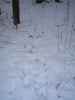 Map or photo for Wells County, Indiana hunting lease property.