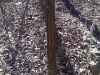 Map or photo for Jackson County, Illinois hunting lease property.