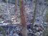 Map or photo for Jackson County, Illinois hunting lease property.