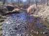 There are deer tracks and deer trails all over leading to this stream.