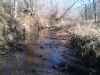 Water in stream year round.