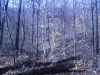 Map or photo for Jackson County, Illinois hunting lease property.