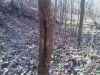 Map or photo for Jackson County, Illinois hunting lease property.