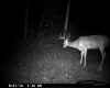 Map or photo for Clark County, Indiana hunting lease property.