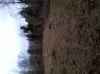 Map or photo for Clark County, Indiana hunting lease property.