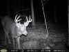 Map or photo for Coshocton County, Ohio hunting lease property.
