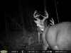 Map or photo for Coshocton County, Ohio hunting lease property.