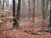 Map or photo for Coshocton County, Ohio hunting lease property.