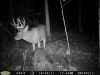 Map or photo for Coshocton County, Ohio hunting lease property.