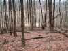 Map or photo for Coshocton County, Ohio hunting lease property.