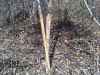 Map or photo for Schuyler County, Illinois hunting lease property.
