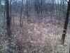 Map or photo for Schuyler County, Illinois hunting lease property.