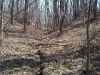 Map or photo for Schuyler County, Illinois hunting lease property.