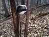Map or photo for Schuyler County, Illinois hunting lease property.