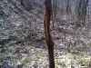 Map or photo for Schuyler County, Illinois hunting lease property.