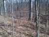Map or photo for Schuyler County, Illinois hunting lease property.