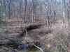 Map or photo for Schuyler County, Illinois hunting lease property.