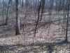 Map or photo for Schuyler County, Illinois hunting lease property.