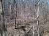 Map or photo for Schuyler County, Illinois hunting lease property.