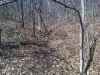 Map or photo for Schuyler County, Illinois hunting lease property.